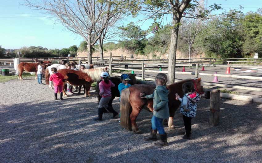 Pony Clubs with The Little Voyager