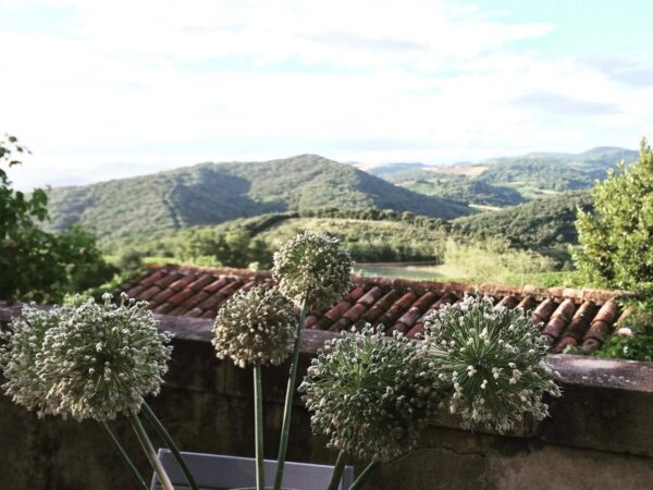 View from the main farmhouse at the French Gites