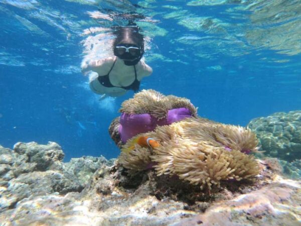 Niyama Private Islands Snorkelling with The Little Voyager