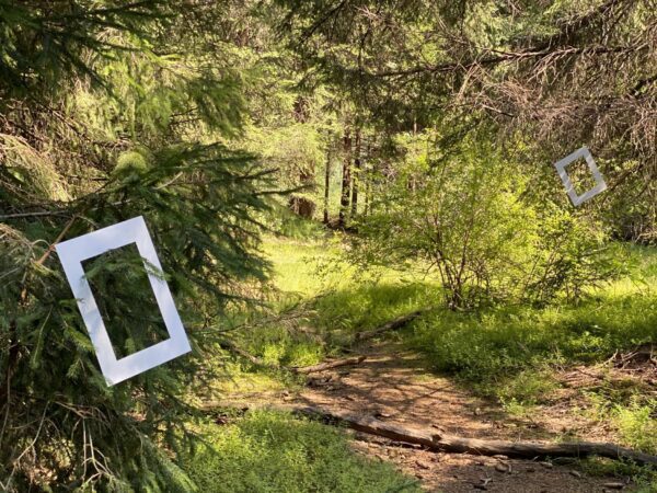 Forest bathing ritual at the South Tyrolean Nature Resort